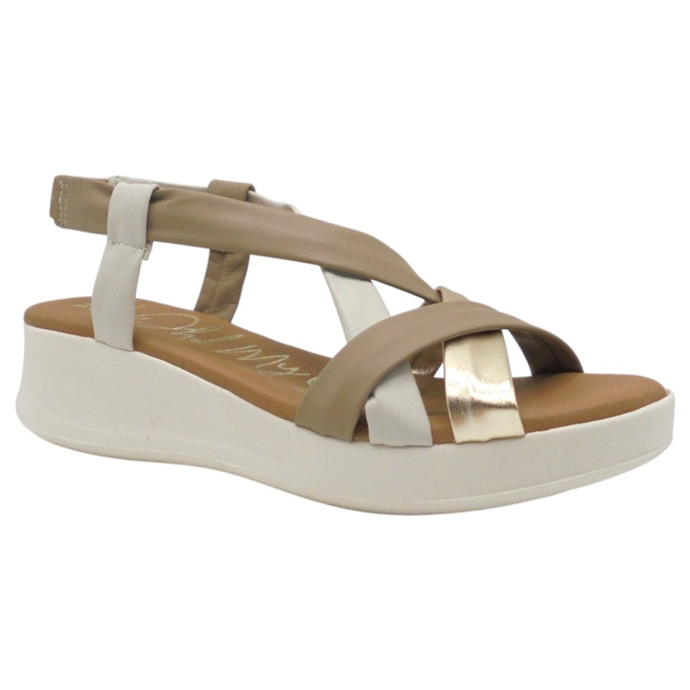 TAUPE COMBI